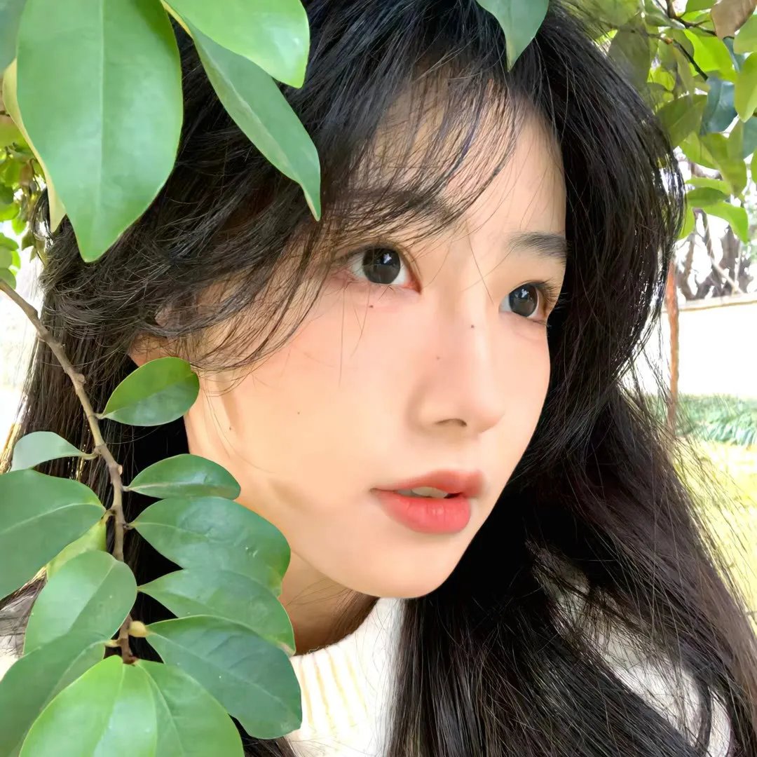 悲怜上帝的女儿